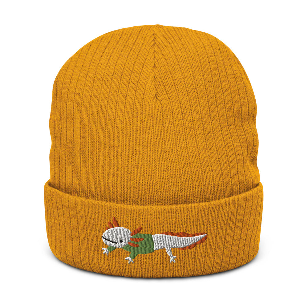 Axolotl usando um gorro de suéter