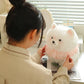 Pretty Pomeranian Plushie